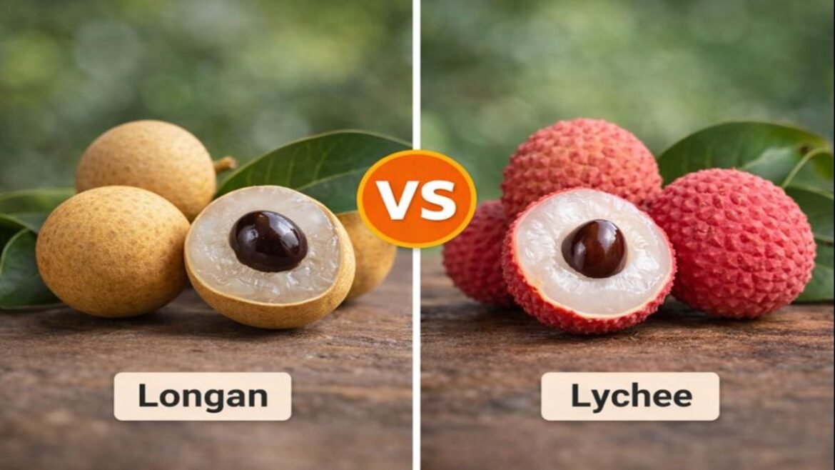 Longan vs Lychee – A Complete Guide