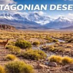 Patagonian Desert